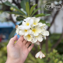фото из отзыва ID 2681214