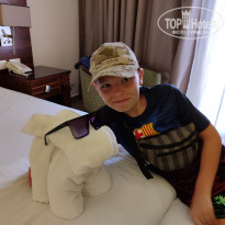 фото из отзыва ID 2681273