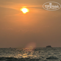 фото из отзыва ID 2681324