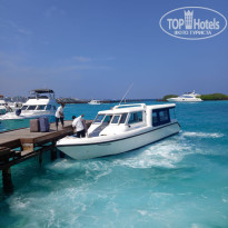 фото из отзыва ID 2680989