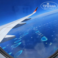 фото из отзыва ID 2680989