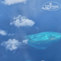 фото из отзыва ID 2680989