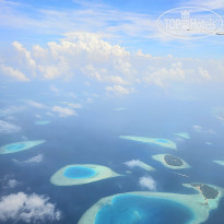 фото из отзыва ID 2680989