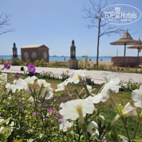 фото из отзыва ID 2681342