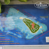 фото из отзыва ID 2680989