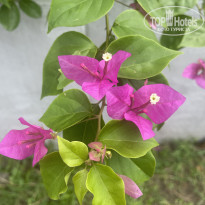 фото из отзыва ID 2681345