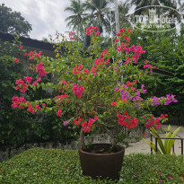 фото из отзыва ID 2680989