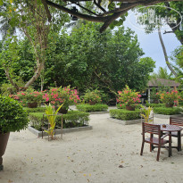 фото из отзыва ID 2680989