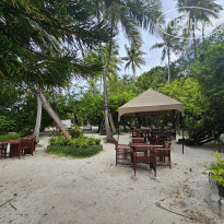 фото из отзыва ID 2680989