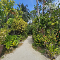 фото из отзыва ID 2680989