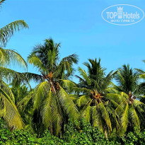 фото из отзыва ID 2680989