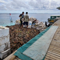 фото из отзыва ID 2680989