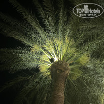 фото из отзыва ID 2681350