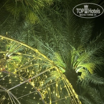 фото из отзыва ID 2681350