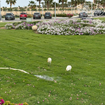 фото из отзыва ID 2681350