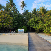 фото из отзыва ID 2680989