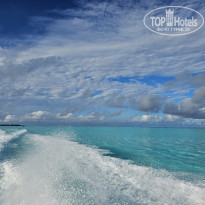 фото из отзыва ID 2680989