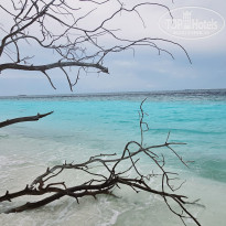 фото из отзыва ID 2680989