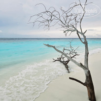 фото из отзыва ID 2680989