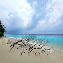 фото из отзыва ID 2680989