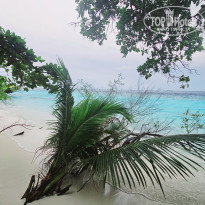 фото из отзыва ID 2680989