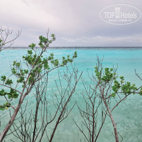 фото из отзыва ID 2680989