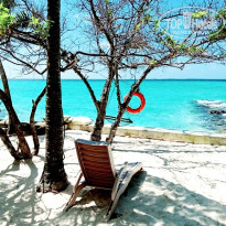 фото из отзыва ID 2680989