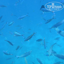 фото из отзыва ID 2681363