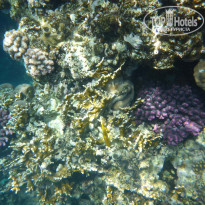 фото из отзыва ID 2681363