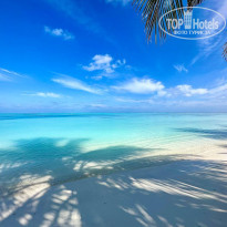 фото из отзыва ID 2680989