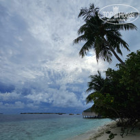 фото из отзыва ID 2680989