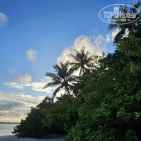 фото из отзыва ID 2680989