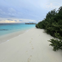 фото из отзыва ID 2680989