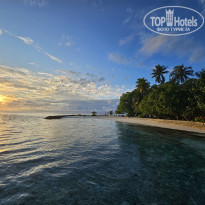 фото из отзыва ID 2680989