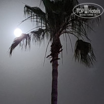 фото из отзыва ID 2681432