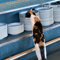 фото из отзыва ID 2681450