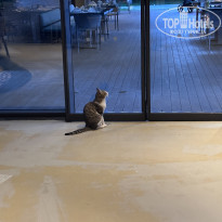 фото из отзыва ID 2681450