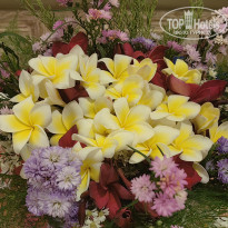 фото из отзыва ID 2681456