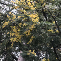 фото из отзыва ID 2681463