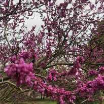 фото из отзыва ID 2681463