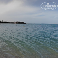 фото из отзыва ID 2681496