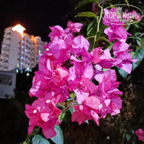 фото из отзыва ID 2681524