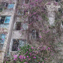 фото из отзыва ID 2681524