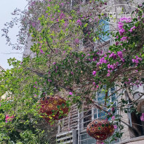 фото из отзыва ID 2681524