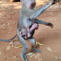 фото из отзыва ID 2681532