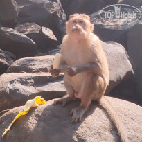 фото из отзыва ID 2681532