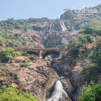 фото из отзыва ID 2681532