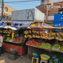 фото из отзыва ID 2681532