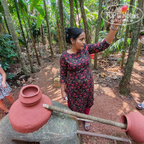 фото из отзыва ID 2681532