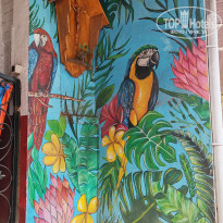 фото из отзыва ID 2681532